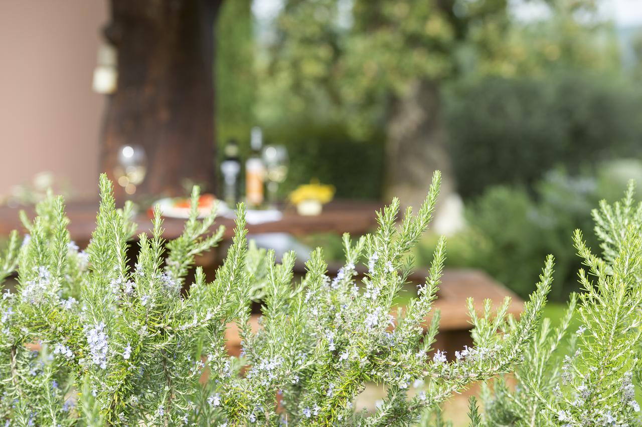 Agriturismo Poggio Corbello La Pesta Zewnętrze zdjęcie