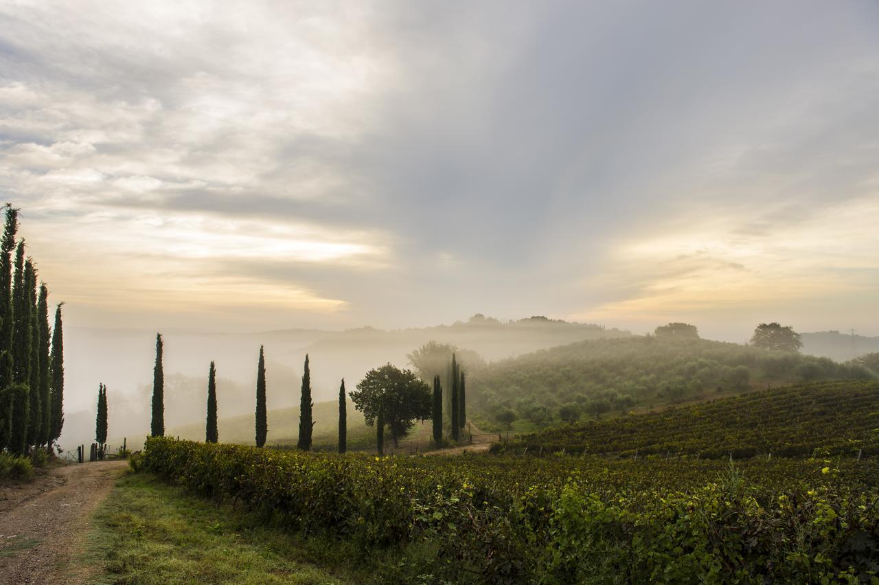 Agriturismo Poggio Corbello La Pesta Zewnętrze zdjęcie