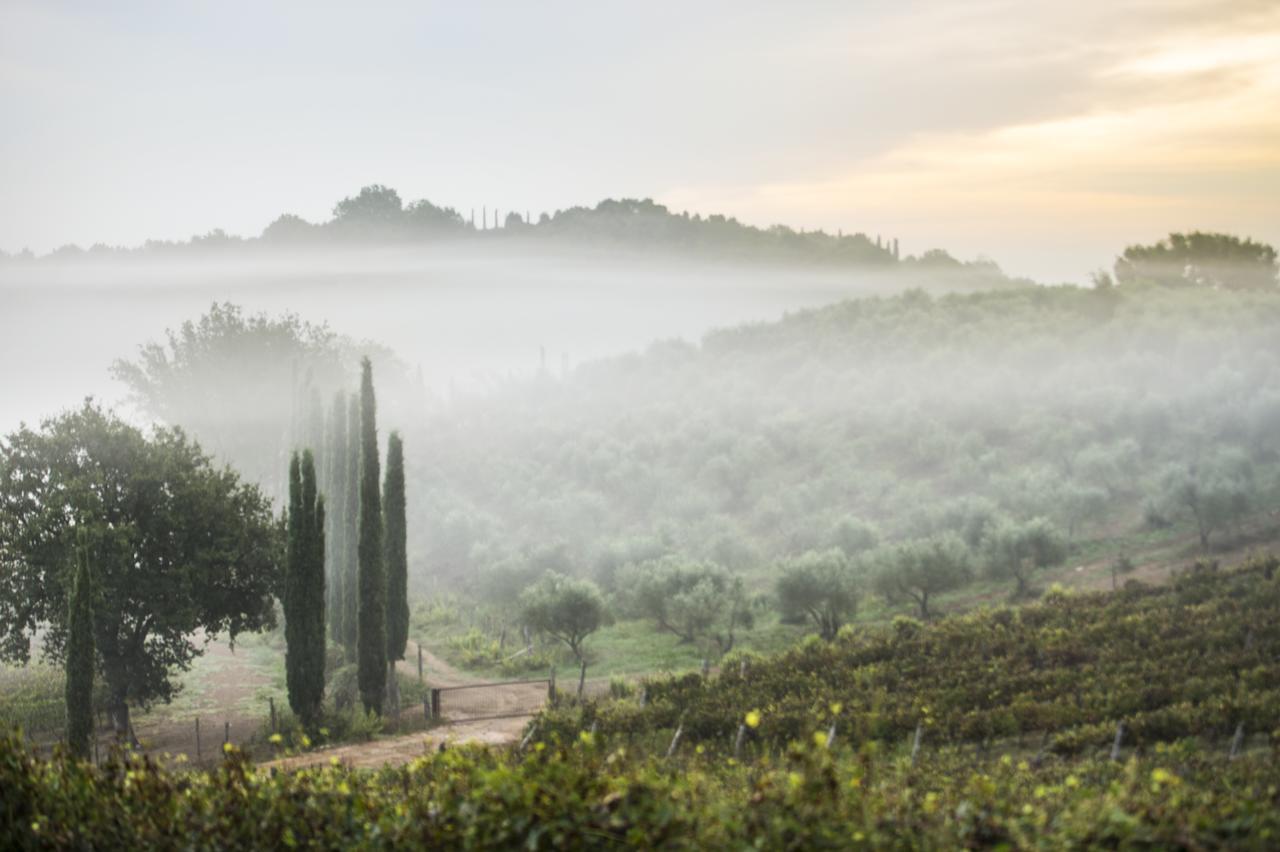 Agriturismo Poggio Corbello La Pesta Zewnętrze zdjęcie