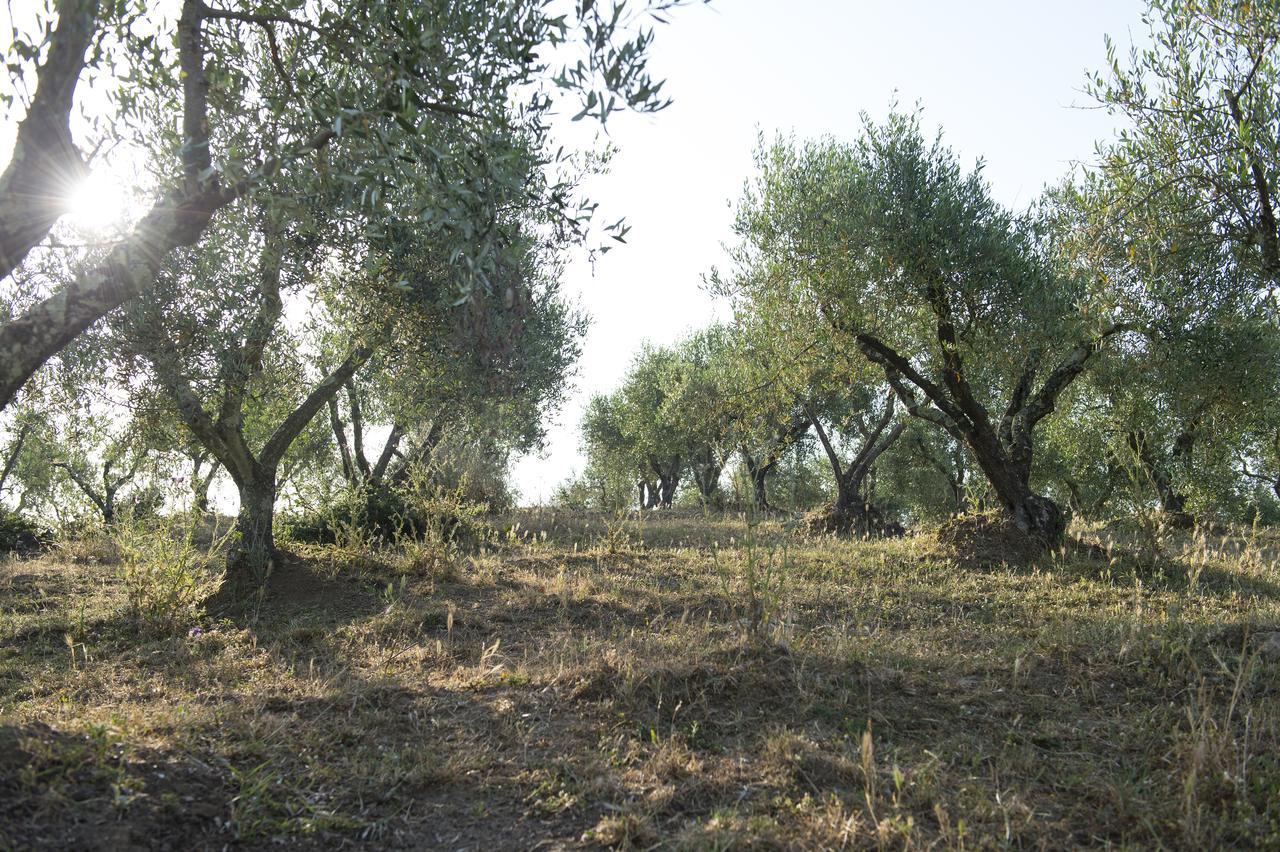 Agriturismo Poggio Corbello La Pesta Zewnętrze zdjęcie