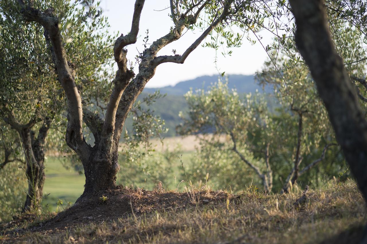 Agriturismo Poggio Corbello La Pesta Zewnętrze zdjęcie