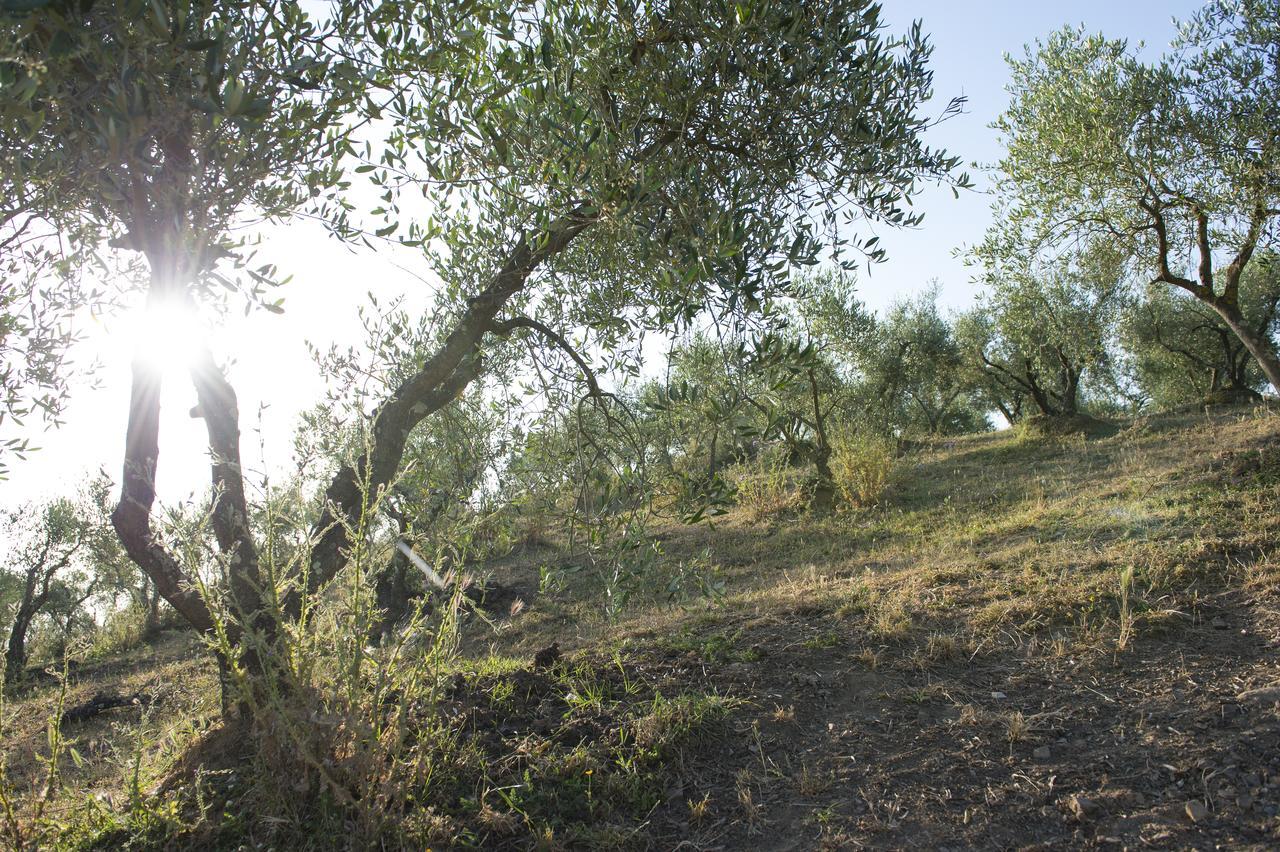 Agriturismo Poggio Corbello La Pesta Zewnętrze zdjęcie