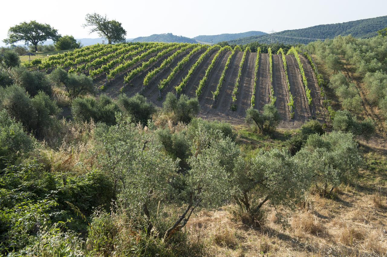 Agriturismo Poggio Corbello La Pesta Zewnętrze zdjęcie